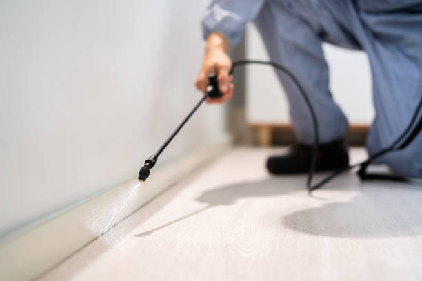 Licensed Pest Control service in Chevy Chase Heights, PA - Show Me Pest Control